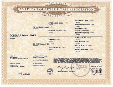 These certificates shall be either in the Numbered registry or in that of the Appendix, depending upon the <b>registration</b> status of the sires and dams. . How to read aqha registration papers